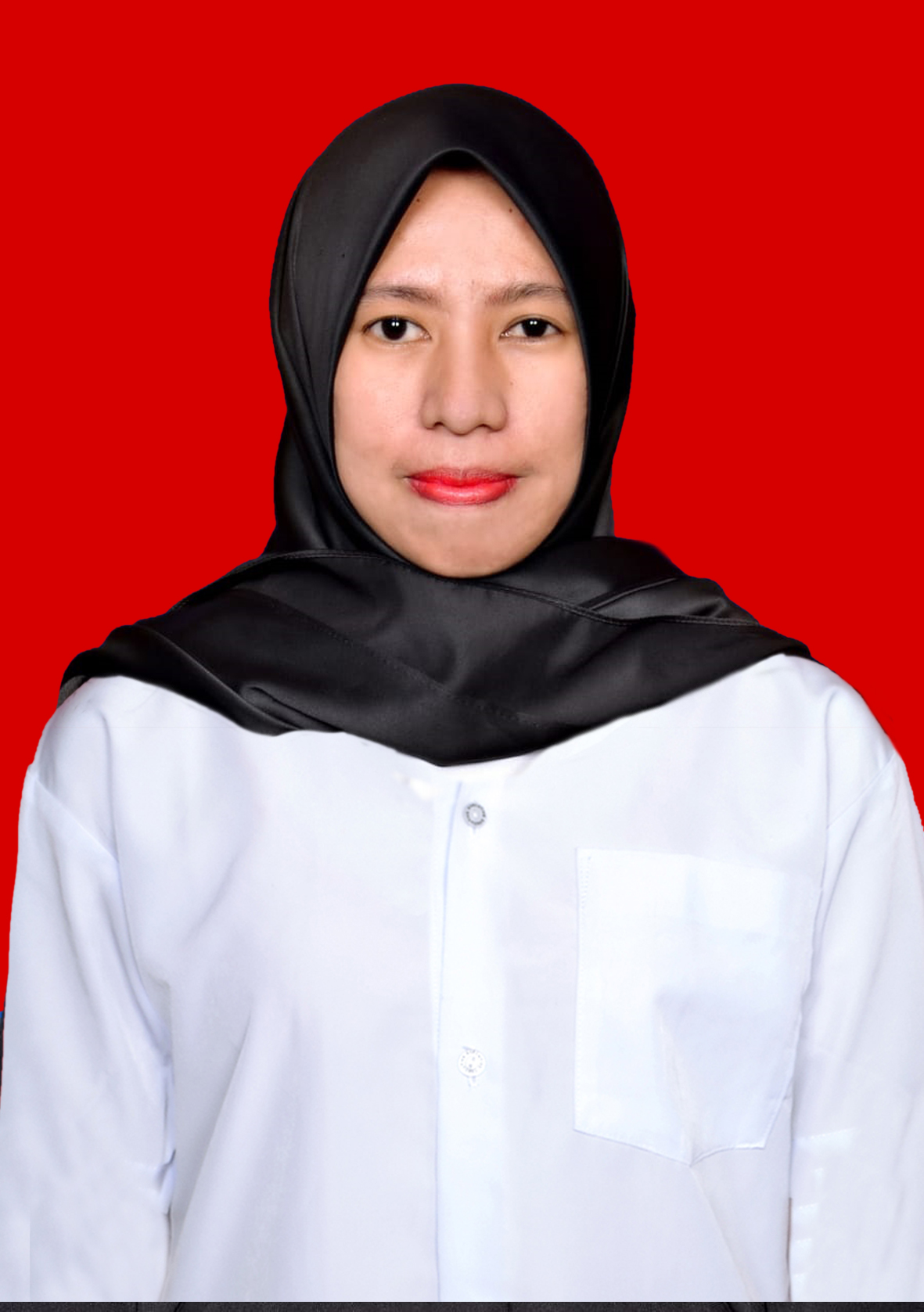 DHITA ERFA ANNISA LII